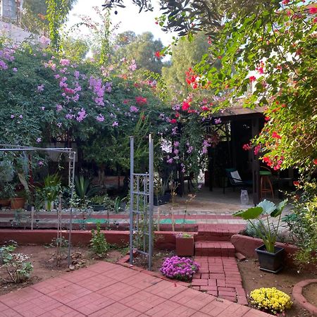 Betul Guest House Famaguszta Kültér fotó