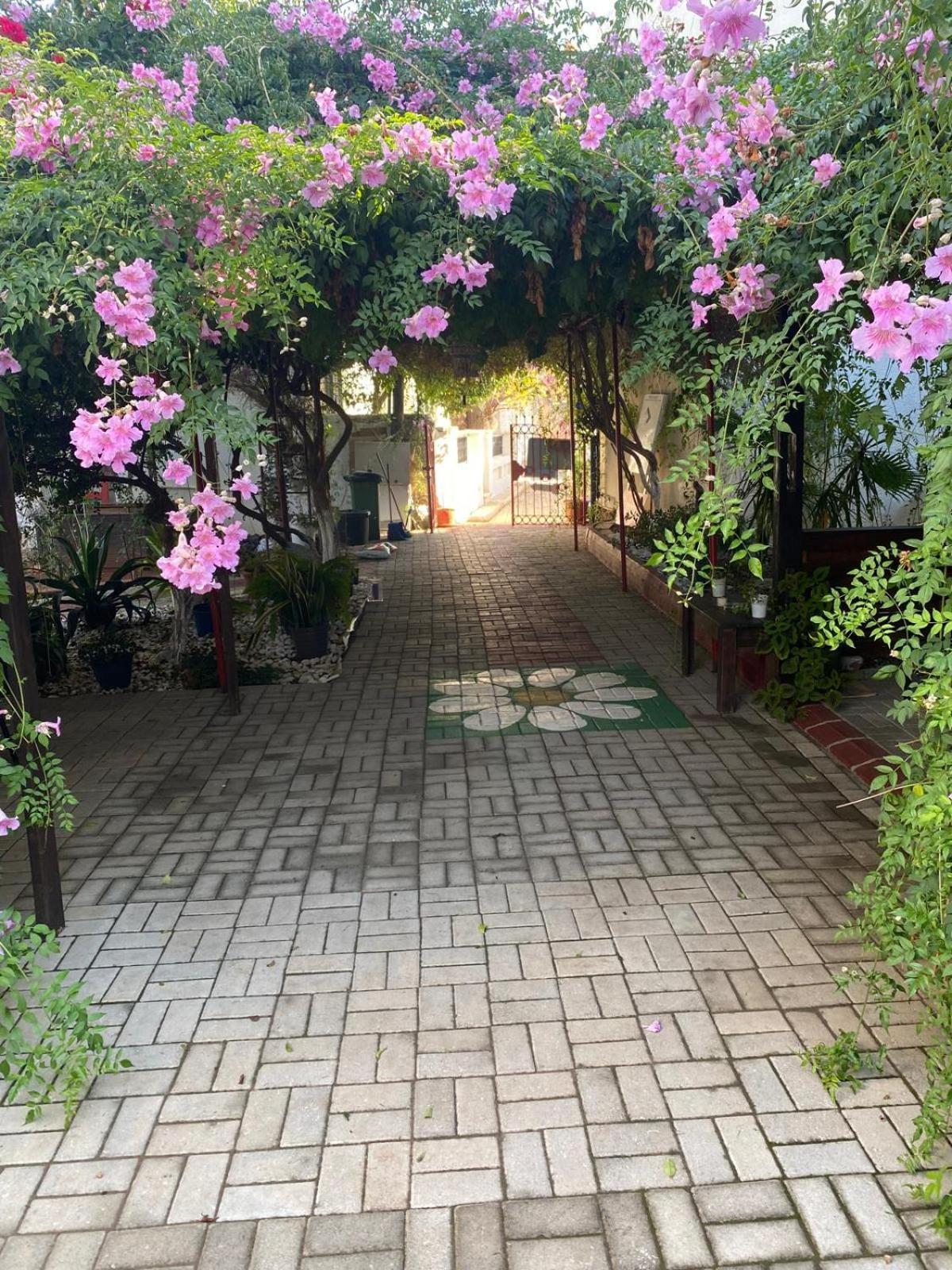 Betul Guest House Famaguszta Kültér fotó